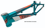 Custom Painted Frames - Crupi BMX